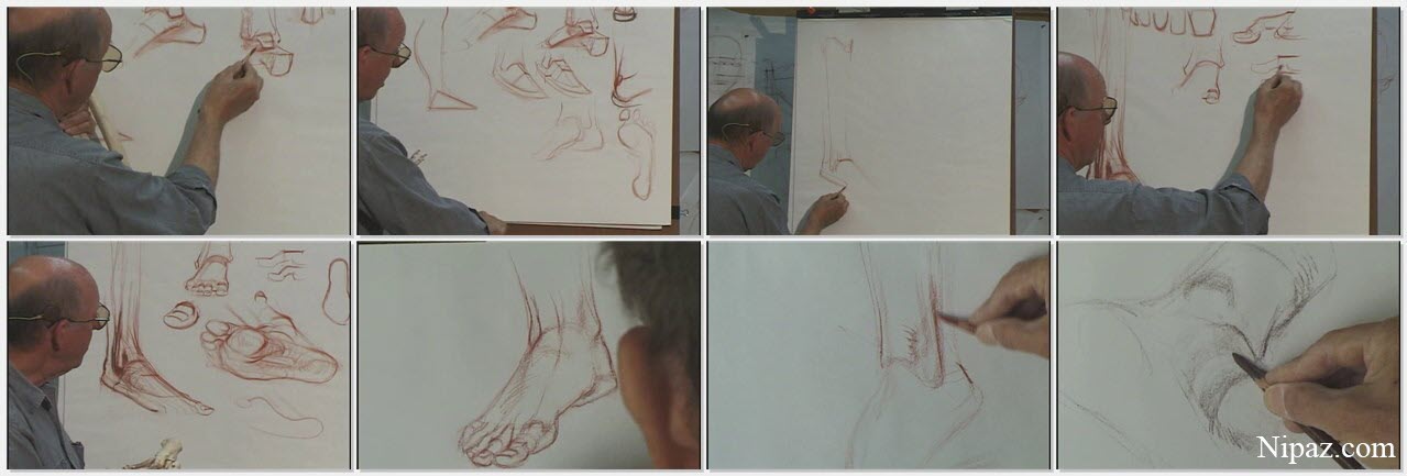 آموزش نقاشی آناتومی و فیگوراتیو نقاشی دست